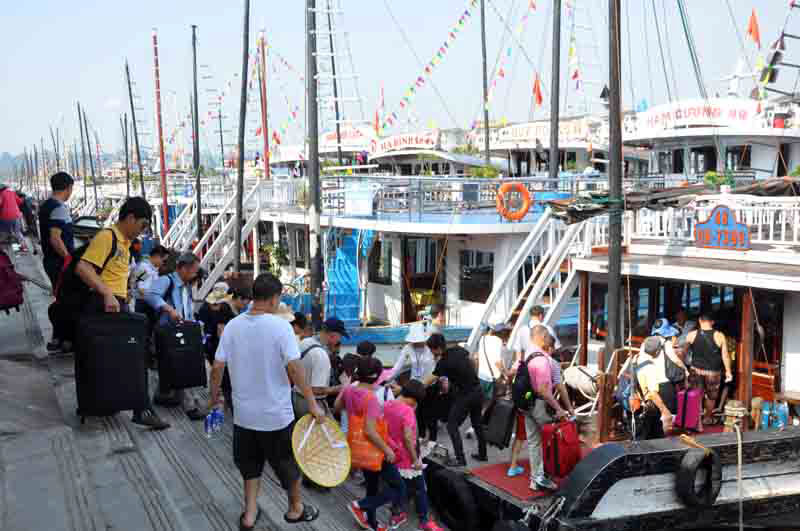 Kinh nghiệm thuê tàu đi Vịnh Hạ Long