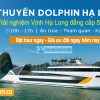 Du Thuyền Dolphin Hạ Long
