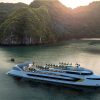 Tour du thuyền Dolphin Hạ Long 1 ngày khám phá Vịnh Hạ Long bằng du thuyền sang trọng