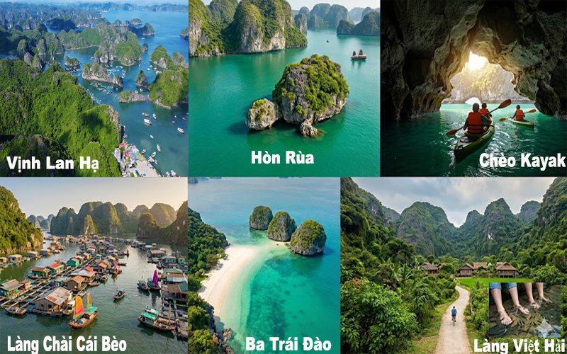 Các điểm than quan Vịnh Lan Hạ Cát Bà