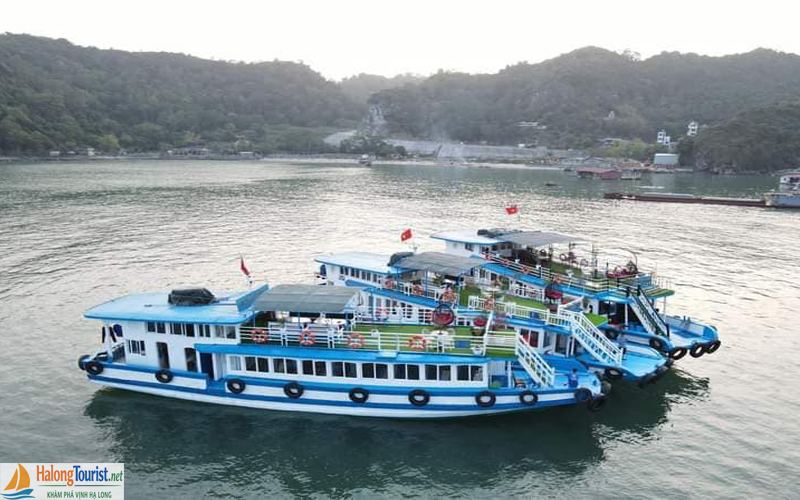 Tàu riêng thăm Vịnh Lan Hạ Cát Bà